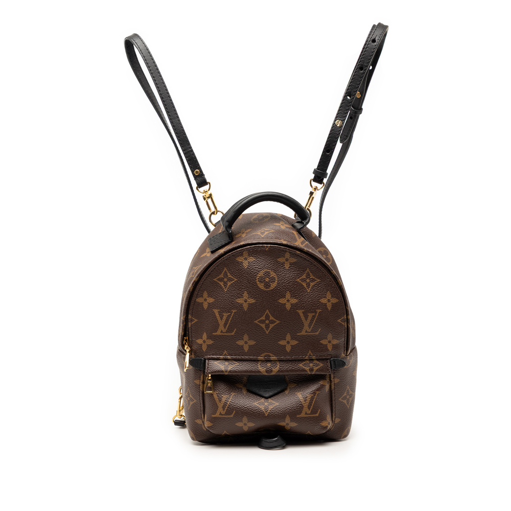 Pre-Loved Louis Vuitton Monogram Mini Palm Springs